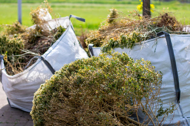 Best Professional Junk Removal  in Chadron, NE