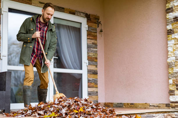 Best Construction Debris Removal  in Chadron, NE